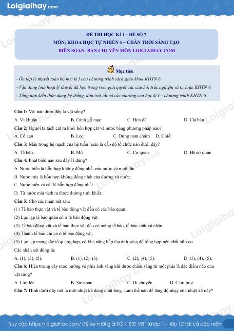 Đề thi học kì 1 KHTN 6 - Chân trời sáng tạo - Đề số 7
